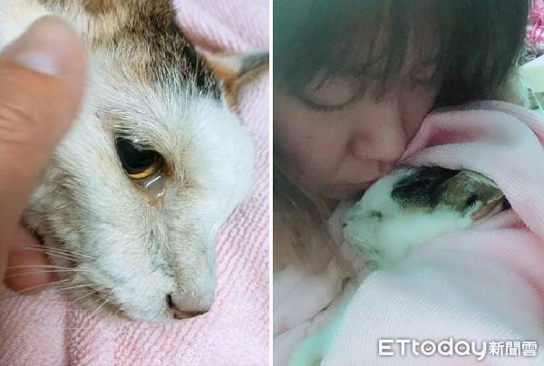「謝謝妳22年來的照顧」老喵臨終前不捨泛淚　雙手輕摸媽臉龐 | ETtoday寵物雲 | ETtoday新聞雲