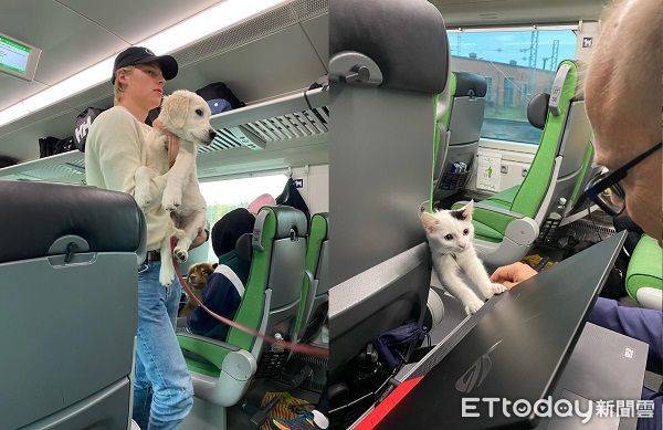 火車「寵物車廂」坐10狗3貓！毛乘客歪頭來搭訕　網羨：好想搭看看 | ETtoday寵物雲 | ETtoday新聞雲