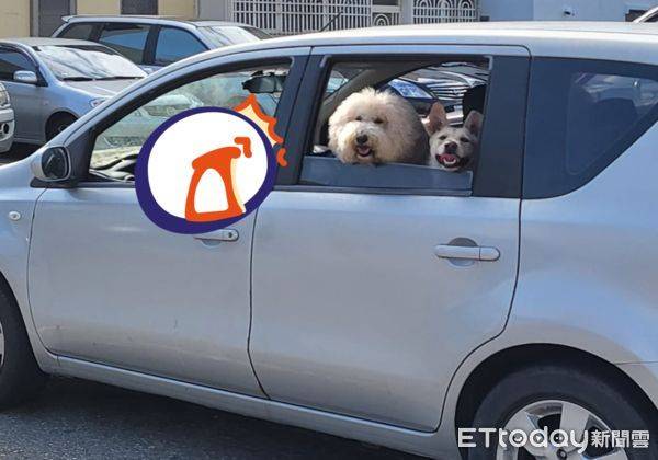 毛孩上車準備去玩「駕駛竟是跩臉小犬」　爸笑：司機臉有點臭 | ETtoday寵物雲 | ETtoday新聞雲