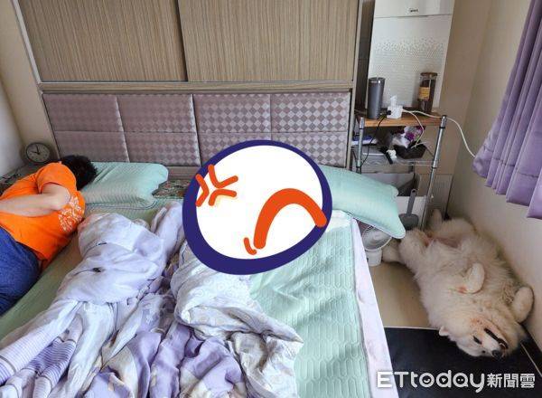 盥洗出來見「孝順貓兒」留大片床鋪！　網畫示意圖：可以睡這 | ETtoday寵物雲 | ETtoday新聞雲