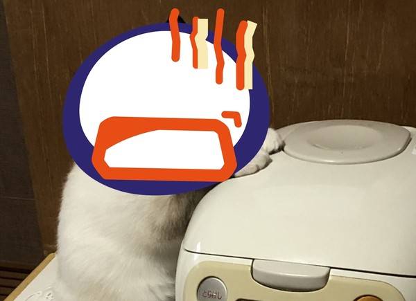 萌貓貼電鍋取暖變「烤焦棉花糖」　臉耳全黑笑噴網：拍攝者不救？ | ETtoday寵物雲 | ETtoday新聞雲