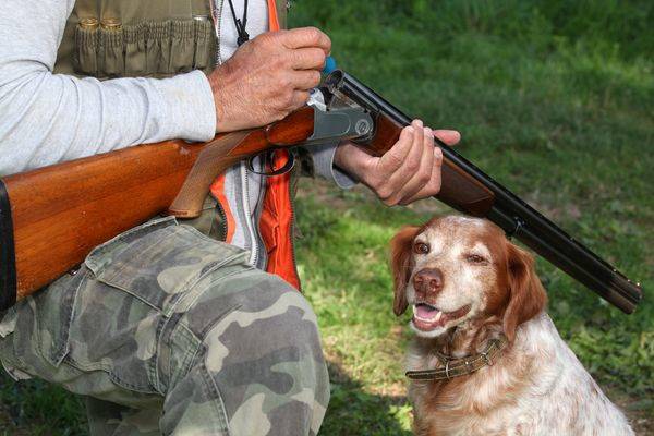 獵人皮卡內遭射殺　員警推斷「後座寵物狗誤踩步槍」奪主人性命 | ETtoday寵物雲 | ETtoday新聞雲