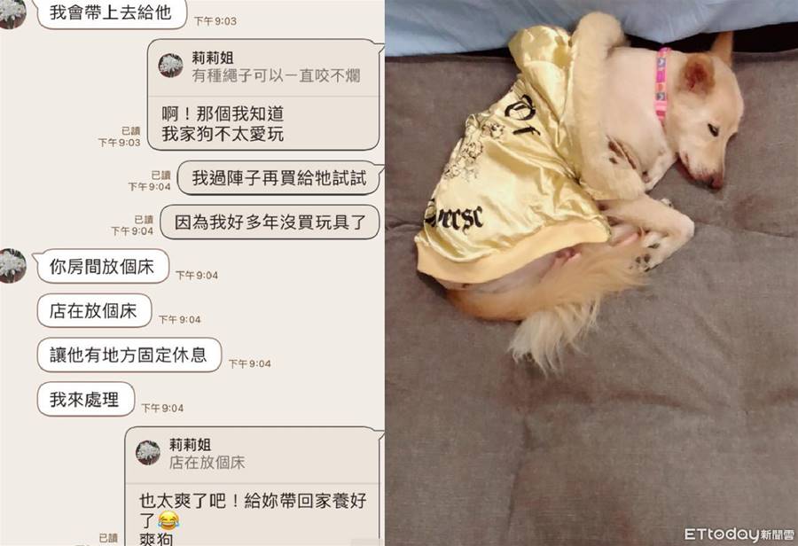史上最佛老闆娘！「特許帶狗上班」還買床玩具　她感動到半夜偷哭 | ETtoday寵物雲 | ETtoday新聞雲