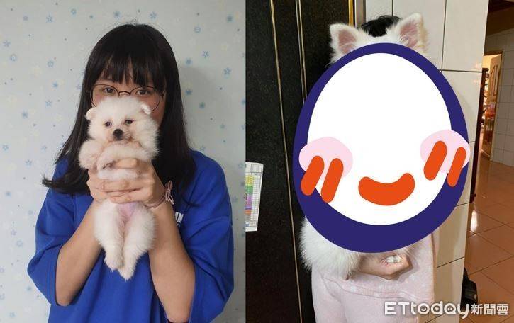 才過4個月！雪白萌犬變「巨大狐」　媽驚成長速度太快：吃了什麼 | ETtoday寵物雲 | ETtoday新聞雲