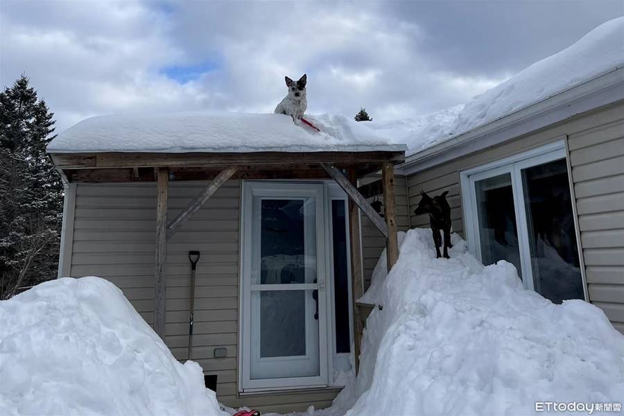 除雪一半沒動靜…媽走近驚見「屋頂有隻狗」氣暈：你給我下來！ | ETtoday寵物雲 | ETtoday新聞雲