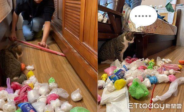 「60個塑膠袋」藏衣櫥大掃除被挖出來　喵落寞低頭：寶藏沒了 | ETtoday寵物雲 | ETtoday新聞雲