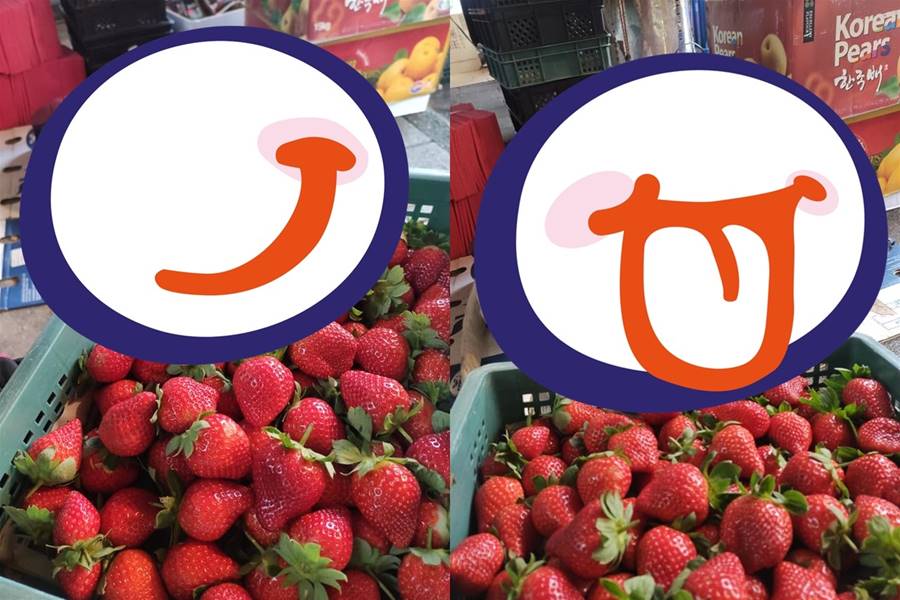 水果店還沒收攤！「黑臉巨草莓」躺地罷工　網笑：要買自己秤啦 | ETtoday寵物雲 | ETtoday新聞雲