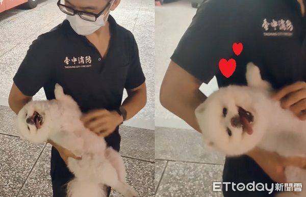 散步煞到消防小哥哥！　白博美「誇張燦笑」融化在懷裡：快摸我 | ETtoday寵物雲 | ETtoday新聞雲