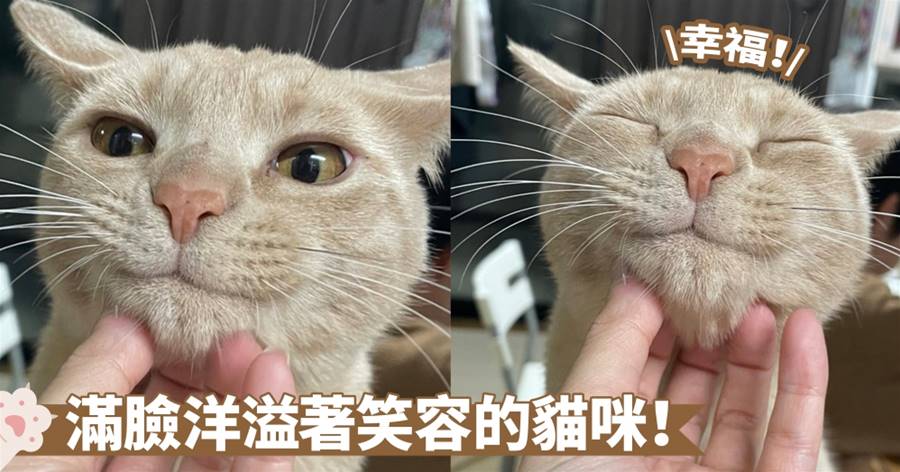 瞬間充滿了愛的感覺！好幸福的小表情啊～喵：拜託奴才再撓久一點點喔