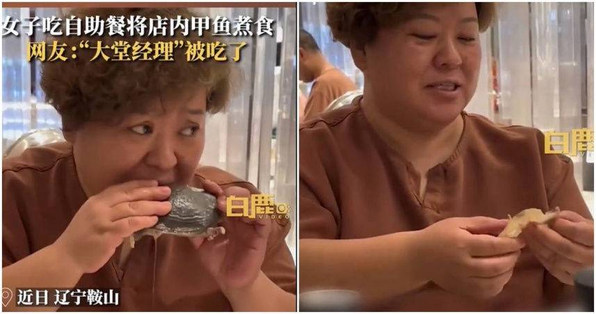 大讚Q彈又好吃！吃到飽餐廳「寵物鱉」竟被大媽煮來吃 | ETtoday寵物雲 | ETtoday新聞雲