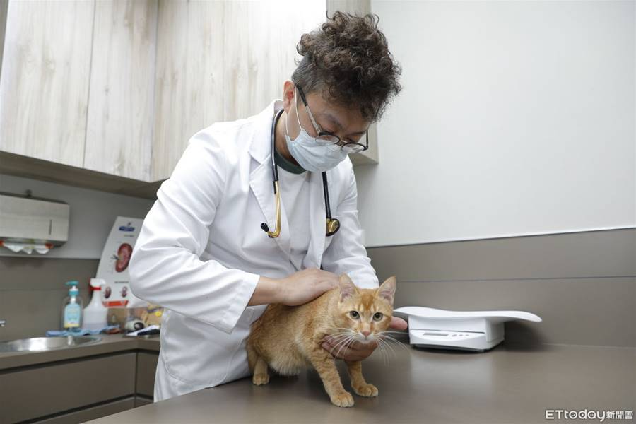 「從年幼變老病患」陪牠經歷一生　獸醫甘苦談曝這件事壓力最大 | ETtoday寵物雲 | ETtoday新聞雲