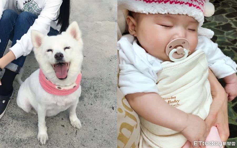 女兒出生右耳有摺痕！媽超擔心...聊天意外驚「是愛犬印記」淚崩 | ETtoday寵物雲 | ETtoday新聞雲