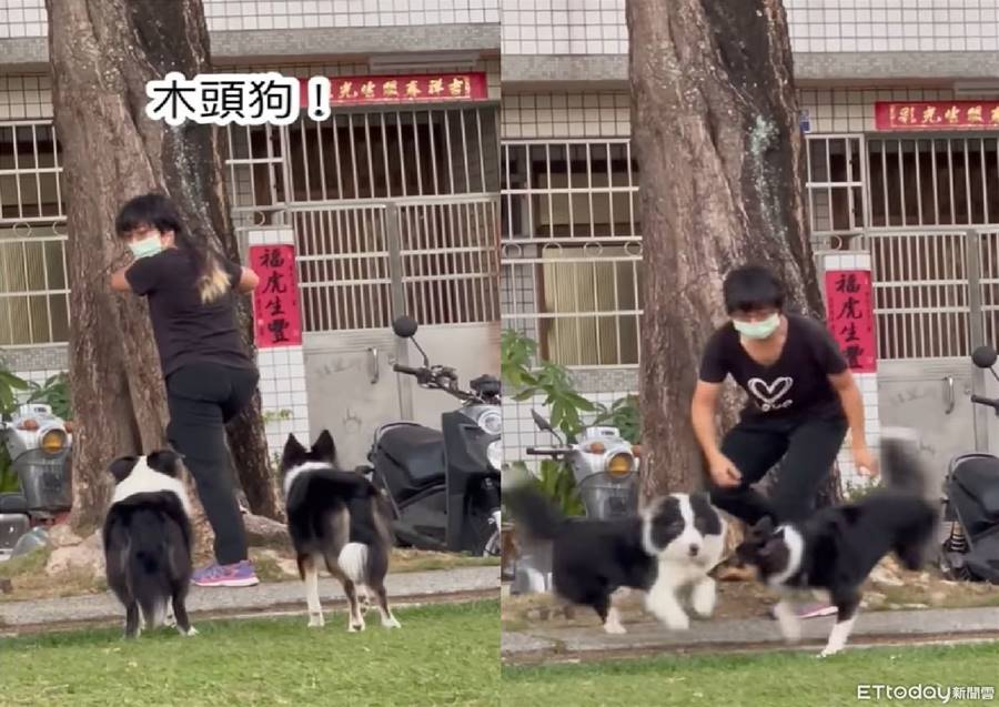 公園玩123木頭人！邊境「狗視耽耽」逼近　媽抖：比跟人玩還緊張 | ETtoday寵物雲 | ETtoday新聞雲