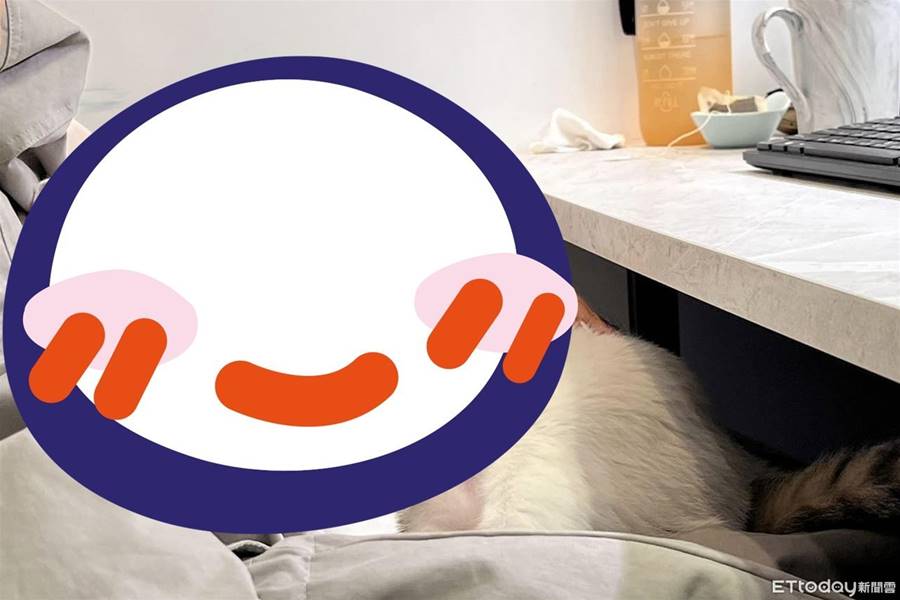 誇張！癡漢貓經理入冬「躺遍女同事大腿」　連人妻都不放過 | ETtoday寵物雲 | ETtoday新聞雲